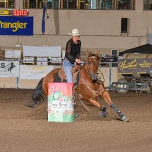 Meet your Posher, Lisa